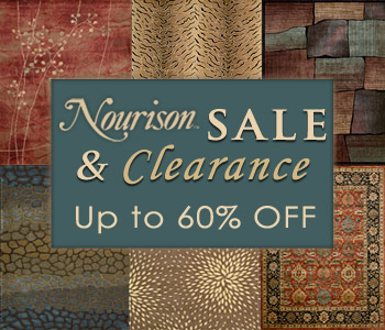 Nourison Clearance Rugs