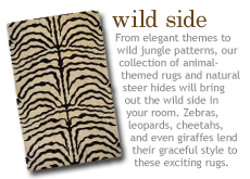 Destin Zebra