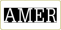 Amer Rugs