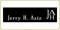 Jerry H Aziz Rugs