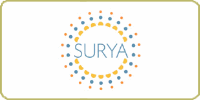 Surya Rugs