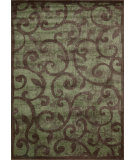  RugStudio presents Nourison Expressions XP-02 Brown Machine Woven, Good Quality Area Rug