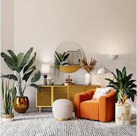 Choose the perfect rug