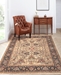 Amer Antiquity ANQ-8 Tan Area Rug - 227674