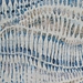 Couristan Easton Charles Bone - Blue - Multi Area Rug - 179784