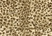 Couristan Cape Town CB79 Cheetah Custom Length Runner Area Rug - 217581