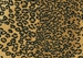 Couristan Cape Town CB79 Leopard Custom Length Runner Area Rug - 217582