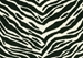 Couristan Cape Town CB79 Zebra Custom Length Runner Area Rug - 217583