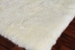 Exquisite Rugs Sheepskin Shag 3845 Ivory Area Rug - 191039