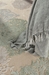 Jaipur Living Fables FB19 Warm Sand - Birch Area Rug Clearance - 69987