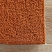 Jaipur Living Grant Design IndoorOutdoor Bough Out GD01 Apricot Orange - Tuffet Area Rug Clearance - 53376