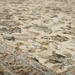 Karastan Euphoria Newbridge Sandstone Area Rug - 112695