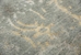Rizzy Impressions Imp106 Gray - Ivory Beige Area Rug - 196557