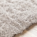 Surya Grizzly GRIZZLY-10 Area Rug - 194481